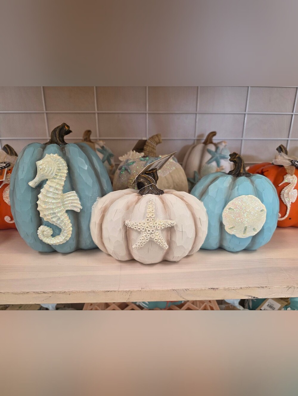 Seashell Starfish Decorative Pumpkin - White
